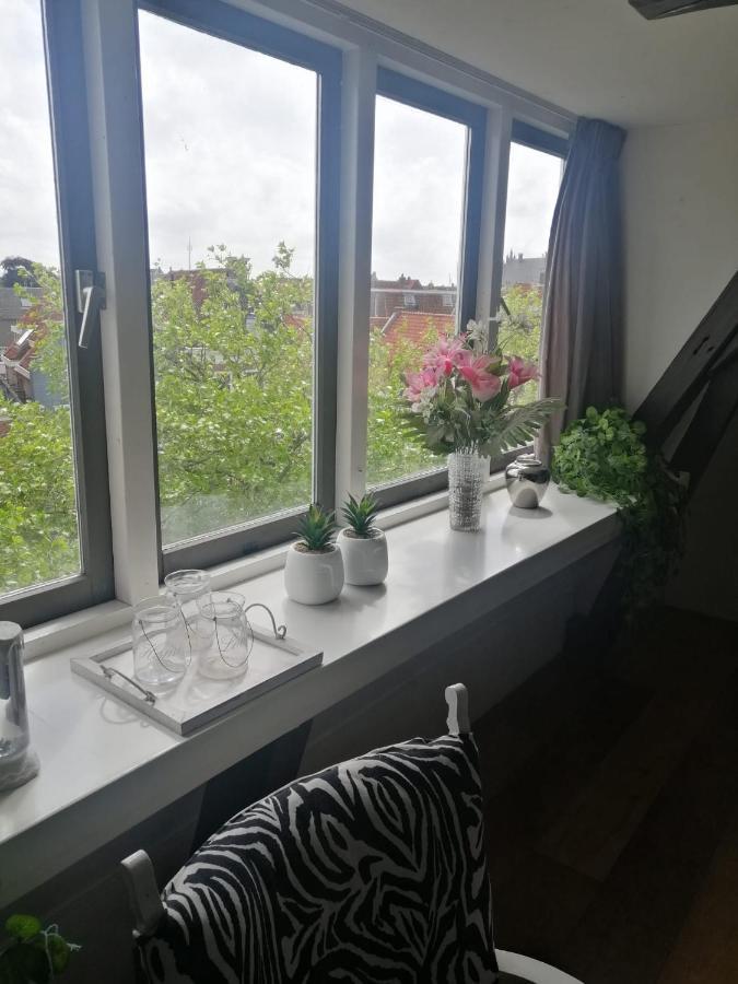 Wittezwaan Bed & Breakfast Harlingen Ngoại thất bức ảnh