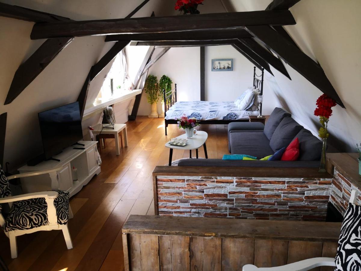 Wittezwaan Bed & Breakfast Harlingen Ngoại thất bức ảnh