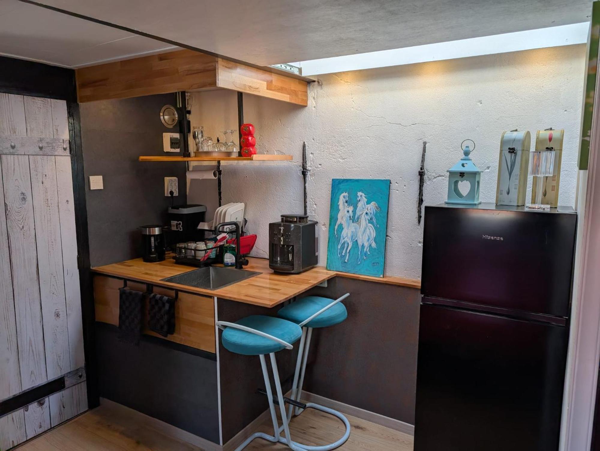 Wittezwaan Bed & Breakfast Harlingen Ngoại thất bức ảnh