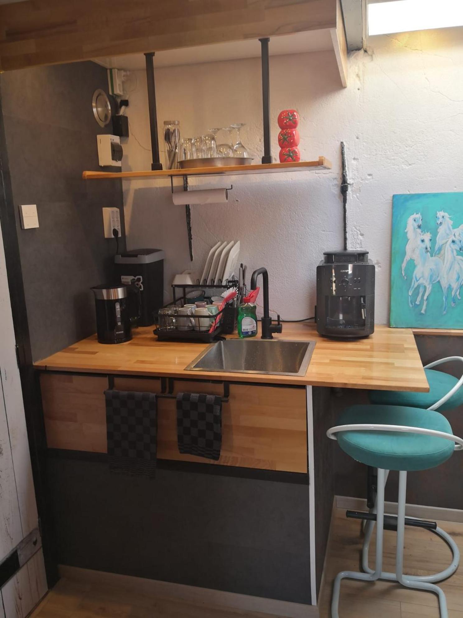 Wittezwaan Bed & Breakfast Harlingen Ngoại thất bức ảnh